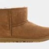 Ugg Classic Mini II Ankle Boot Grade School Boots (Chestnut)