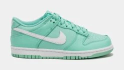 Nike Dunk Low Emerald Rise Grade School Lifestyle Shoes (Emerald Rise/White)